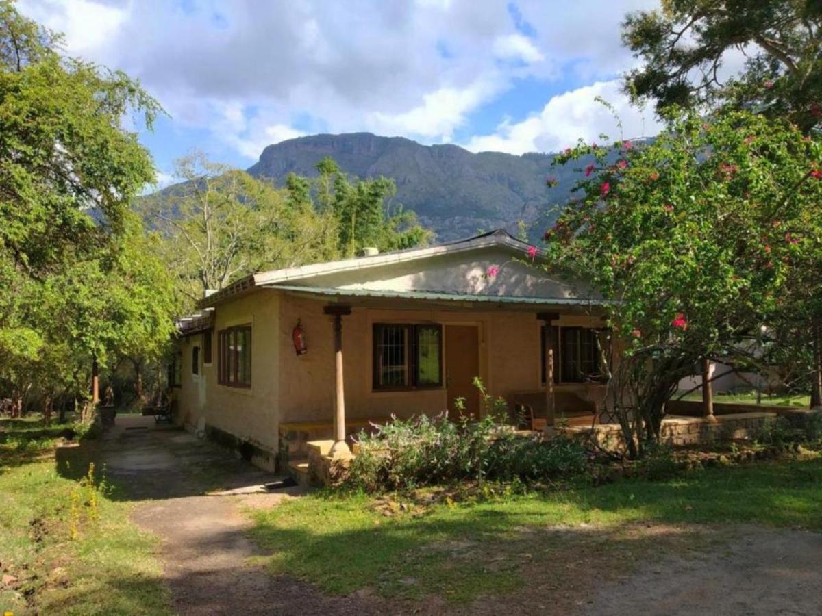 מלון מסינאגודי Jungle Hut מראה חיצוני תמונה