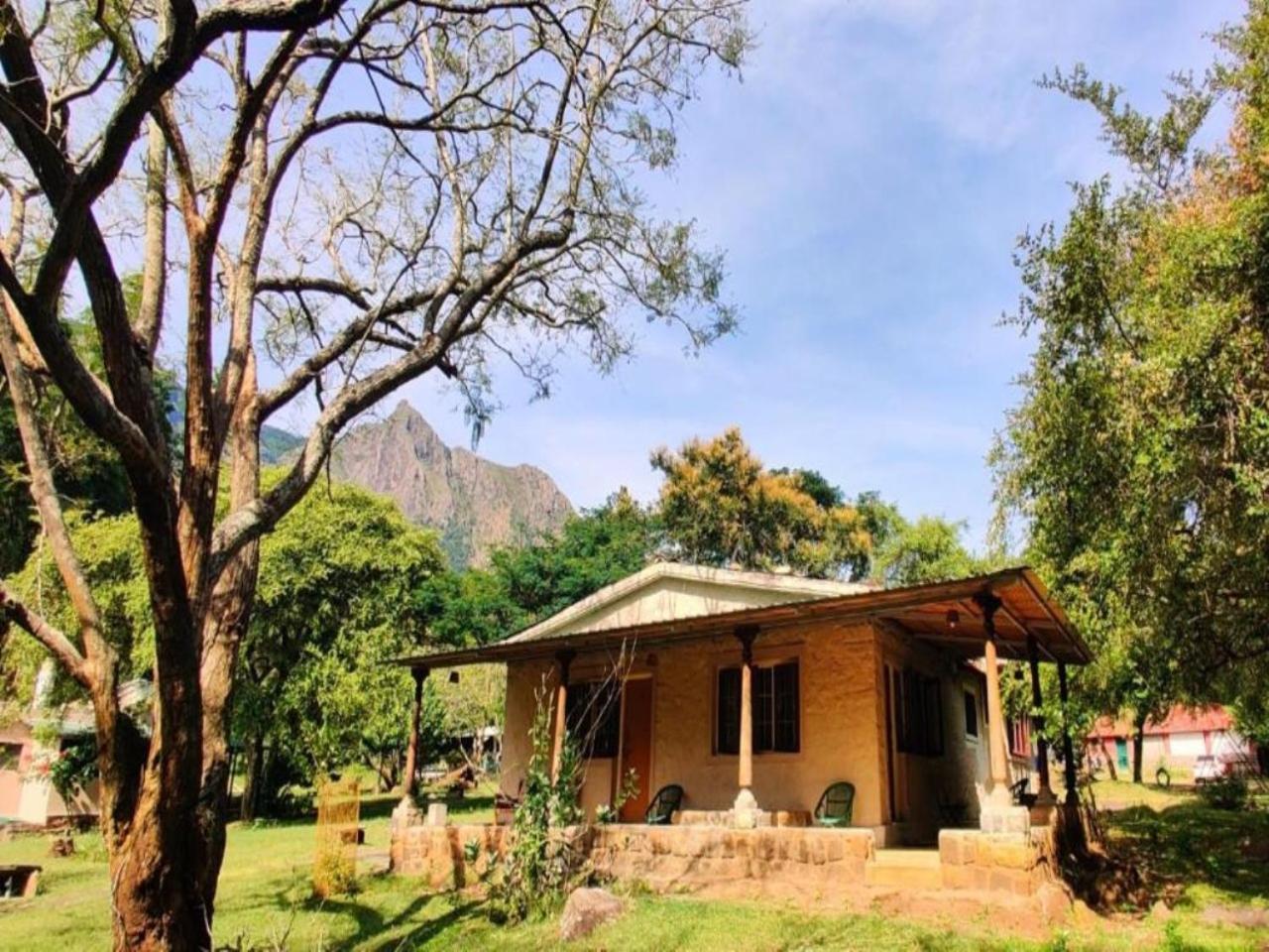 מלון מסינאגודי Jungle Hut מראה חיצוני תמונה